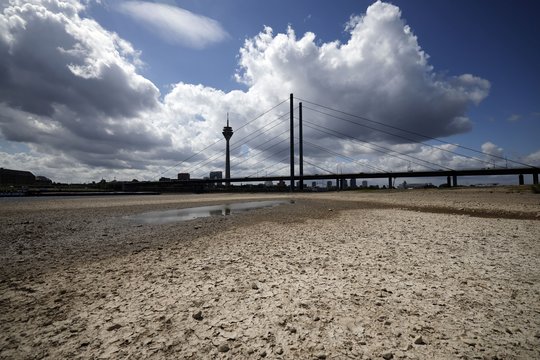 Ein Flussbett, der Rhein bei Niedrigwasser